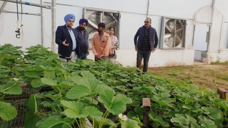 Director Agriculture Jammu inspects ongoing HADP aided projects in R.S. Pura