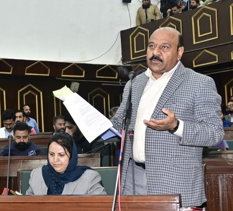 Rs 583.78 lakh DPR formulated for Kaloran Bheeni Nalla bridge: Dy CM