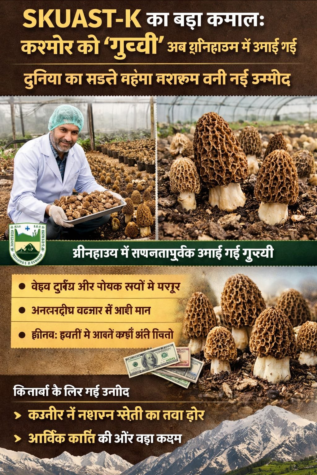 Kashmir’s ‘Gucchi’ Successfully Grown in a Greenhouse, World’s Costliest Mushroom Brings New HopeSrinagar